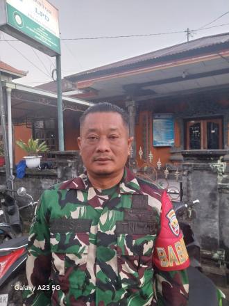 I Putu Suwidana Yasa